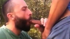 Outdoor Bareback Sex And Blowjob