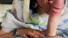 Nice amateur Blowjob and Handjob