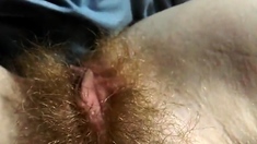 hairy redhead